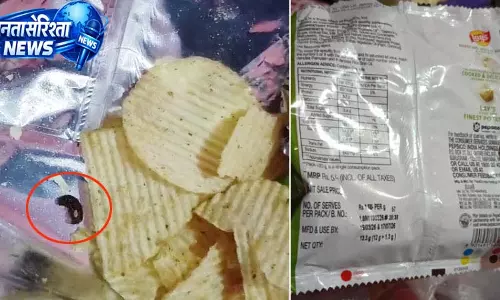 नादौन में चिप्स पैकेट में कीड़े मिलने का मामला, खाद्य सुरक्षा विभाग ने शुरू की जांच नादौन में चिप्स पैकेट में कीड़े मिलने का मामला, खाद्य सुरक्षा विभाग ने शुरू की जांच