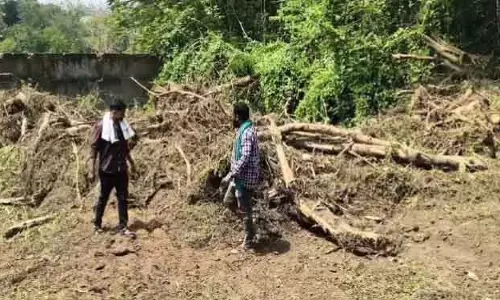 OP Impact: बारीपदा में ‘अवैध’ पेड़ों की कटाई को लेकर एनजीटी में हंगामा OP Impact: बारीपदा में ‘अवैध’ पेड़ों की कटाई को लेकर एनजीटी में हंगामा