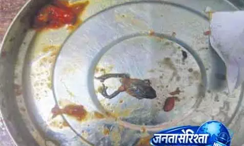 Cuttack: एससीबी मेडिकल में मरीज के खाने में मेंढक मिला Cuttack: एससीबी मेडिकल में मरीज के खाने में मेंढक मिला