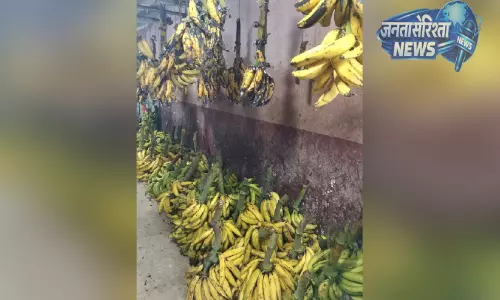 Kerala : भारी कीमत बढ़ोतरी में केले के किसान संकट में Kerala : भारी कीमत बढ़ोतरी में केले के किसान संकट में