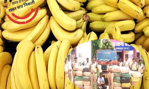 केले की आड़ में गांजा तस्करी, महासमुंद में 4 करोड़ 56 लाख का माल जब्त केले की आड़ में गांजा तस्करी, महासमुंद में 4 करोड़ 56 लाख का माल जब्त