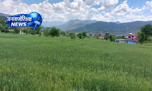 Mandi में 23,291 किसानों ने अपनाई प्राकृतिक खेती Mandi में 23,291 किसानों ने अपनाई प्राकृतिक खेती