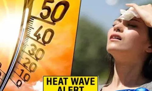 विदर्भ में वर्धा में सबसे ज़्यादा गर्मी; नागपुर में 44.2°C तापमान, लू जारी विदर्भ में वर्धा में सबसे ज़्यादा गर्मी; नागपुर में 44.2°C तापमान, लू जारी