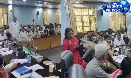 बागपत में किसानों की मीटिंग में बंदर ने मचाई अफरा-तफरी, DM की कुर्सी पर बैठ गया बागपत में किसानों की मीटिंग में बंदर ने मचाई अफरा-तफरी, DM की कुर्सी पर बैठ गया