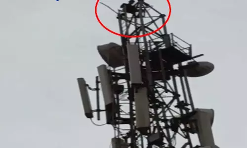 CG: युवक मोबाइल टावर पर चढ़ा, देखें VIDEO...