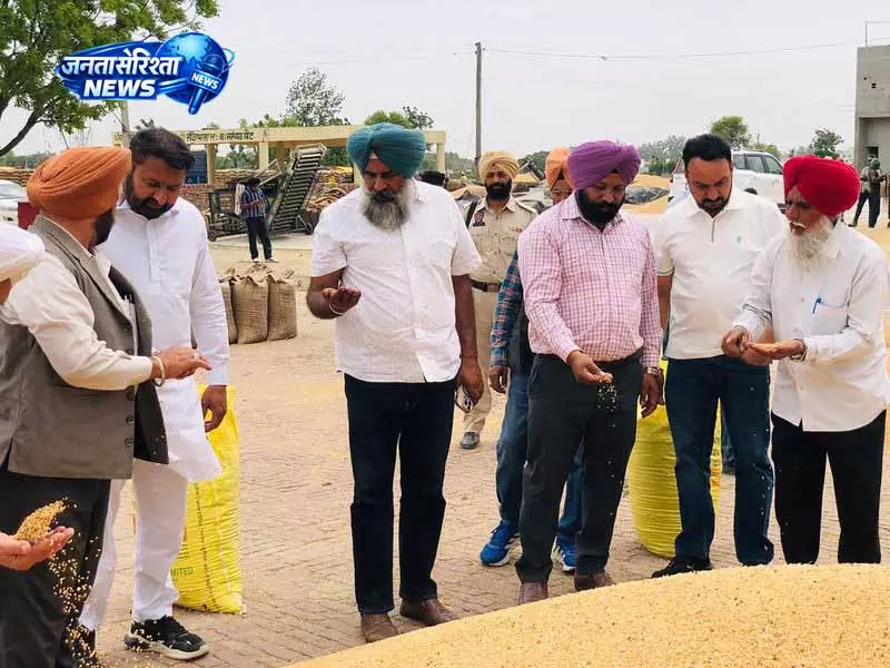 जालंधर मंडियों का हाल बेहाल: Pargat Singh जालंधर मंडियों का हाल बेहाल: Pargat Singh