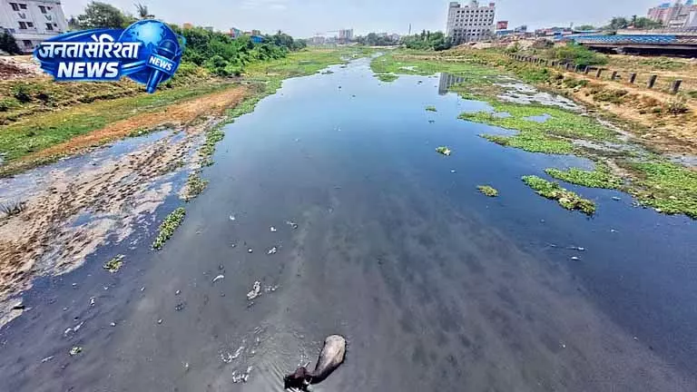 Chennai की जलधाराएं प्रदूषण की चपेट में, पर्यावरण पर गंभीर खतरा Chennai की जलधाराएं प्रदूषण की चपेट में, पर्यावरण पर गंभीर खतरा