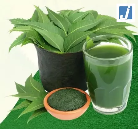 फायदेमंद है ये कड़वाहट, बीमारियों का काल तो लिवर के लिए सुरक्षा कवच की तरह काम करता है नीम फायदेमंद है ये कड़वाहट, बीमारियों का काल तो लिवर के लिए सुरक्षा कवच की तरह काम करता है नीम
