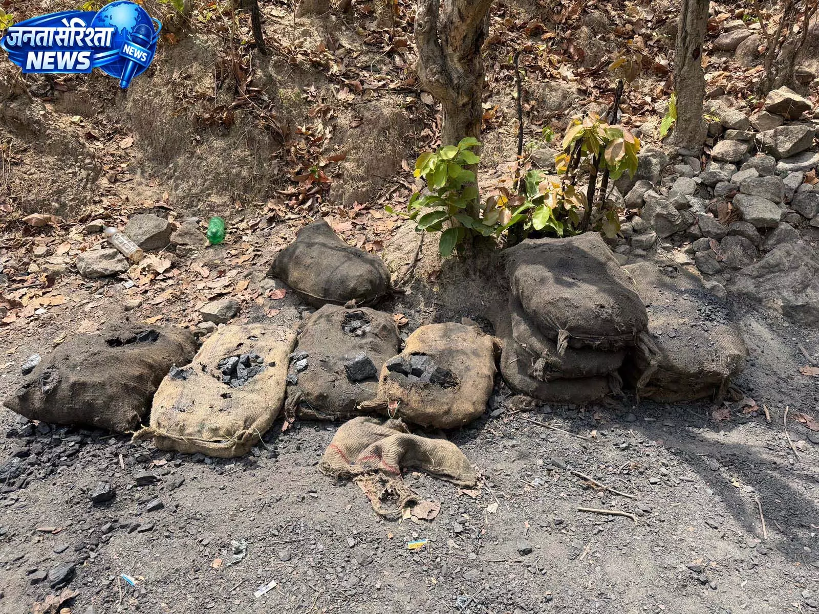 अवैध कोयला खनन पर बड़ी कार्रवाई, 6 टन से अधिक कोयला जब्त अवैध कोयला खनन पर बड़ी कार्रवाई, 6 टन से अधिक कोयला जब्त