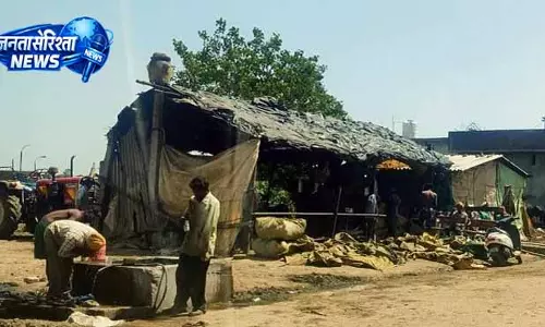 हैबोवाल डेयरी में प्रदूषण पर NGT में याचिका हैबोवाल डेयरी में प्रदूषण पर NGT में याचिका