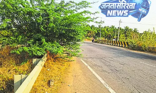 Karnataka : कांटों के कारण यातायात में बाधा Karnataka : कांटों के कारण यातायात में बाधा