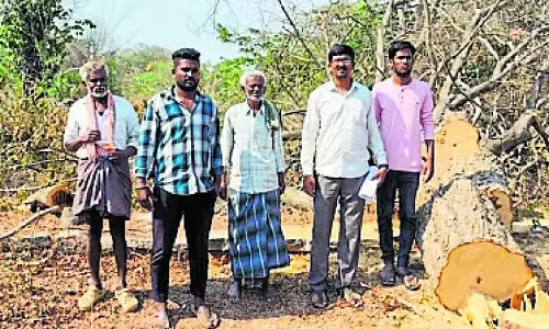Karnataka : सरकारी गोमल पेड़ों की अवैध कटाई , कार्रवाई की मांग Karnataka : सरकारी गोमल पेड़ों की अवैध कटाई , कार्रवाई की मांग