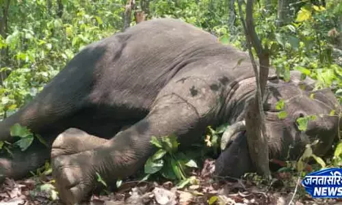 Odisha के कंधमाल में संदिग्ध विस्फोटक पदार्थ खाने से जंगली हाथी की मौत Odisha के कंधमाल में संदिग्ध विस्फोटक पदार्थ खाने से जंगली हाथी की मौत