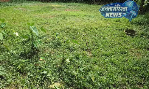 Kerala : गर्मी बहुत के कारण बॉर्डर इलाकों में किसानों ने खेती छोड़ दी