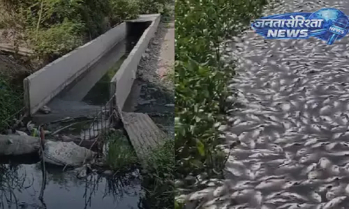 पाषाण झील में इकोलॉजिकल आपदा: हज़ारों मछलियों की मौत के मामले में NHAI पर गंभीर आरोप पाषाण झील में इकोलॉजिकल आपदा: हज़ारों मछलियों की मौत के मामले में NHAI पर गंभीर आरोप