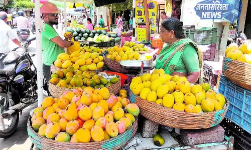 Davanagere : बाजार के लिए आम पैक किए गए