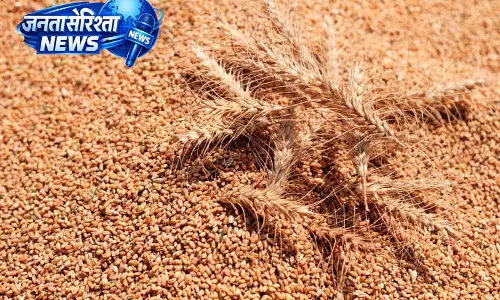 Kapurthala में गेहूं खरीदी व्यवस्था पर डीसी ने की विस्तृत समीक्षा Kapurthala में गेहूं खरीदी व्यवस्था पर डीसी ने की विस्तृत समीक्षा