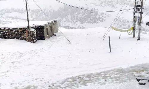 Pangi में बेमौसम बर्फबारी, सड़कें बंद और खेती प्रभावित Pangi में बेमौसम बर्फबारी, सड़कें बंद और खेती प्रभावित