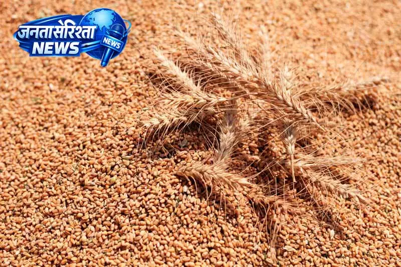 Kapurthala में गेहूं खरीदी व्यवस्था पर डीसी ने की विस्तृत समीक्षा Kapurthala में गेहूं खरीदी व्यवस्था पर डीसी ने की विस्तृत समीक्षा