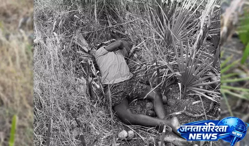 Chintapalli: ताड़ी निकालने वाले छात्र की ताड़ के पेड़ से गिरने से मौत Chintapalli: ताड़ी निकालने वाले छात्र की ताड़ के पेड़ से गिरने से मौत