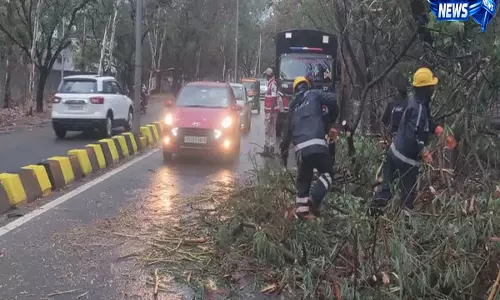 Hyderabad में आंधी-तूफान, शहर भर में पेड़ उखड़े, HYDRAA ने की मदद