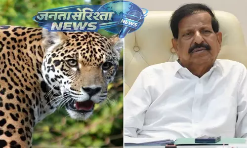 Maharashtra: लेपर्ड सफारी की योजना, तेंदुओं की बढ़ती संख्या पर सरकार का कदम Maharashtra: लेपर्ड सफारी की योजना, तेंदुओं की बढ़ती संख्या पर सरकार का कदम
