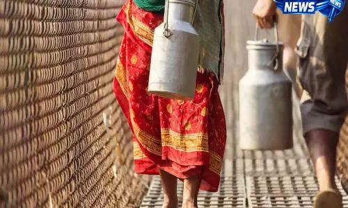 Hyderabad food safety टीम ने मिलावट को लेकर डेयरी सप्लायर्स को नोटिस भेजा Hyderabad food safety टीम ने मिलावट को लेकर डेयरी सप्लायर्स को नोटिस भेजा