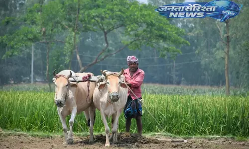 Odisha में कृषि त्योहार अक्षय तृतीया मनाया गया Odisha में कृषि त्योहार अक्षय तृतीया मनाया गया
