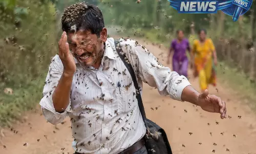 Odisha : जनगणना ड्यूटी से लौटते समय मधुमक्खियों के हमले में टीचर गंभीर रूप से घायल