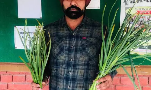 खेती में नवाचार, Ludhiana के किसान ने बढ़ाई उत्पादन क्षमता खेती में नवाचार, Ludhiana के किसान ने बढ़ाई उत्पादन क्षमता