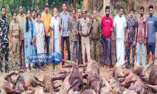 Kerala : ओट्टापलम नगर सभा इलाके में 44 जंगली सूअर मारे गए