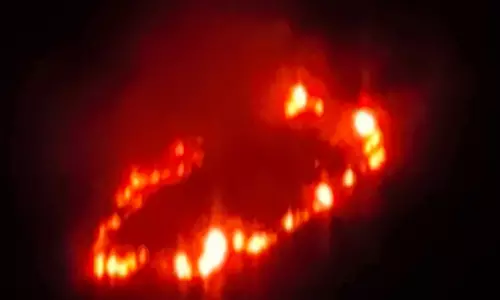 Kerala : मरयूर इलाके में जंगल की आग से चिंता Kerala : मरयूर इलाके में जंगल की आग से चिंता