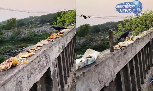 Pune : मुथा नदी में धार्मिक कचरे से प्रदूषण, जागरूकता बढ़ाने की मांग Pune : मुथा नदी में धार्मिक कचरे से प्रदूषण, जागरूकता बढ़ाने की मांग