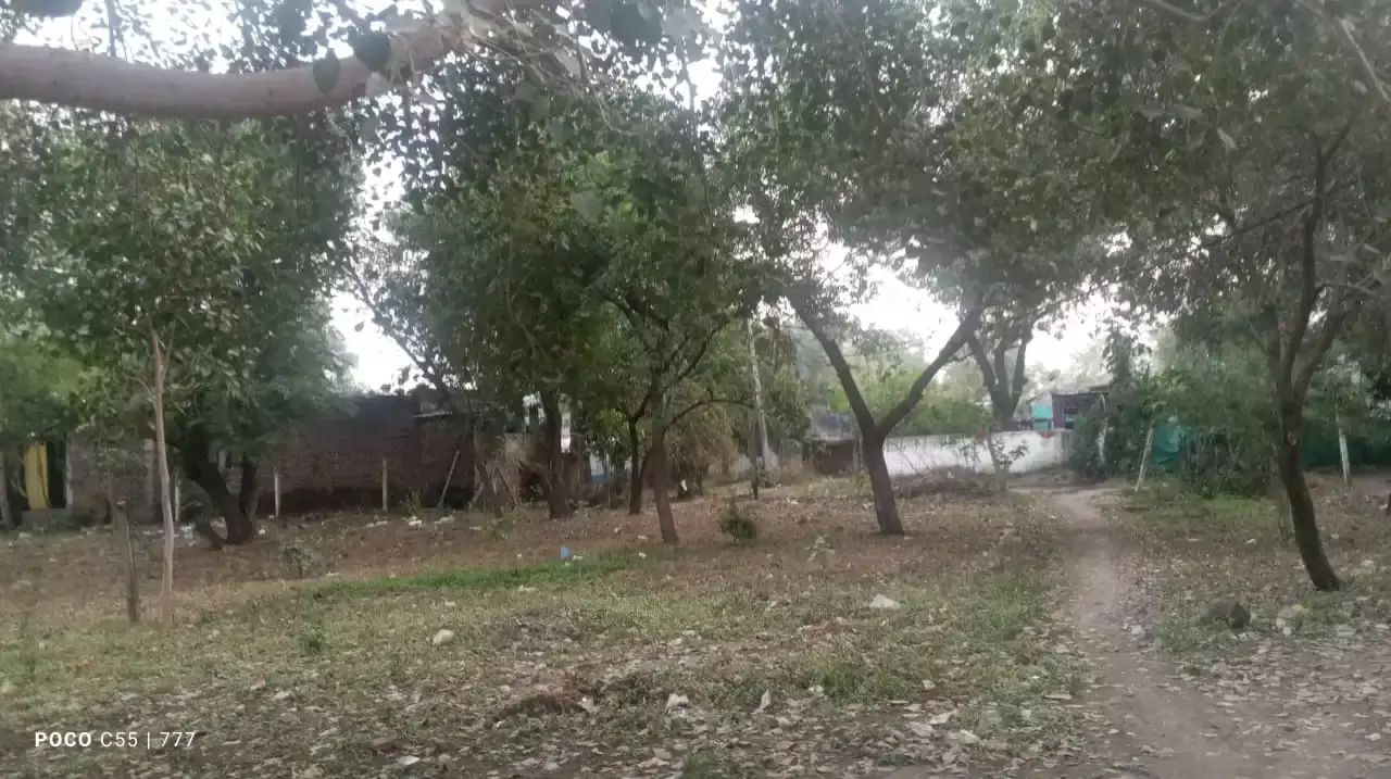 Farrukhabad: वृक्षारोपण योजना पर उठे भ्रष्टाचार के आरोप Farrukhabad: वृक्षारोपण योजना पर उठे भ्रष्टाचार के आरोप