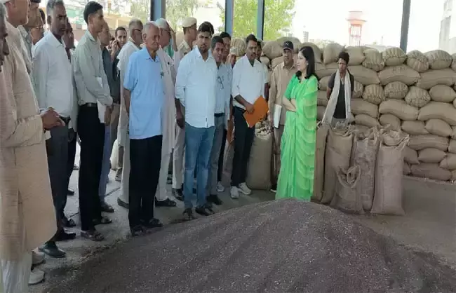 Narnail: 57 प्रतिशत गेहूं उठान पूरा, खरीद अभियान जारी Narnail: 57 प्रतिशत गेहूं उठान पूरा, खरीद अभियान जारी