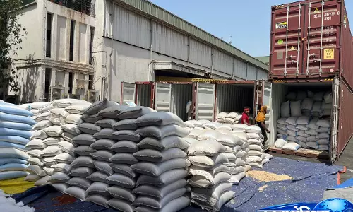 132 कंटेनरों में छिपा था खेल: तूर दाल के नाम पर मटर-बीज की तस्करी 132 कंटेनरों में छिपा था खेल: तूर दाल के नाम पर मटर-बीज की तस्करी