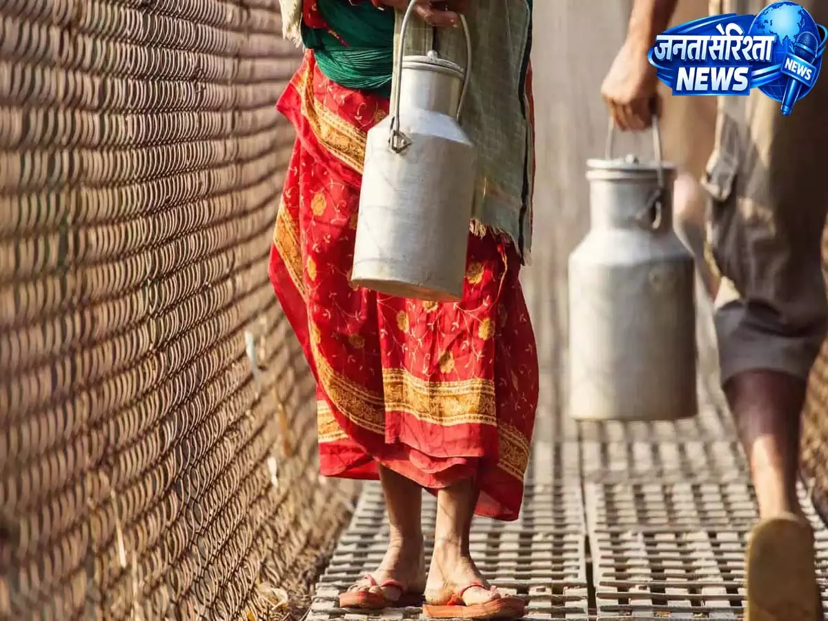 Hyderabad food safety टीम ने मिलावट को लेकर डेयरी सप्लायर्स को नोटिस भेजा Hyderabad food safety टीम ने मिलावट को लेकर डेयरी सप्लायर्स को नोटिस भेजा
