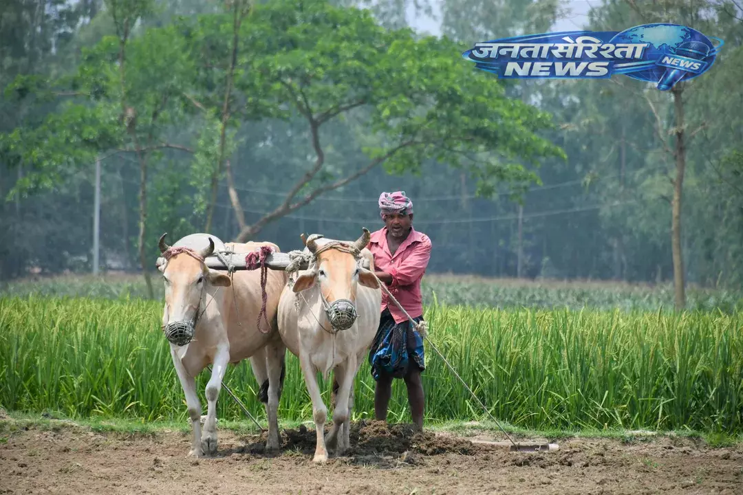 Odisha में कृषि त्योहार अक्षय तृतीया मनाया गया Odisha में कृषि त्योहार अक्षय तृतीया मनाया गया