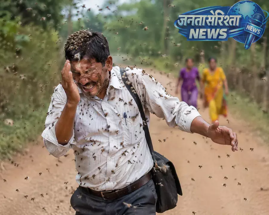Odisha : जनगणना ड्यूटी से लौटते समय मधुमक्खियों के हमले में टीचर गंभीर रूप से घायल Odisha : जनगणना ड्यूटी से लौटते समय मधुमक्खियों के हमले में टीचर गंभीर रूप से घायल