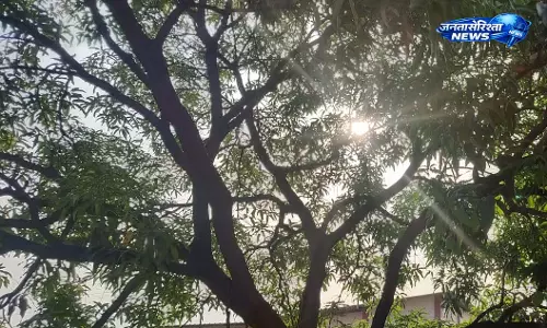 गर्मी इतनी की हीट हेडेक का खतरा मंडराया, अतिआवश्यक काम होने पर ही घर से निकलने की सलाह गर्मी इतनी की हीट हेडेक का खतरा मंडराया, अतिआवश्यक काम होने पर ही घर से निकलने की सलाह