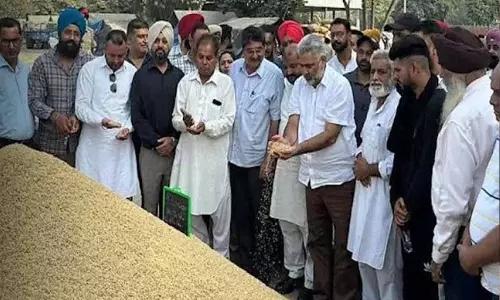 Punjab: मंत्री कटारूचक ने मंडी में गेहूं खरीदी का लिया जायजा Punjab: मंत्री कटारूचक ने मंडी में गेहूं खरीदी का लिया जायजा
