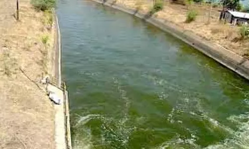 दो सिंचाई योजनाओं के कार्यों के लिए 6.58 करोड़ रूपए स्वीकृत