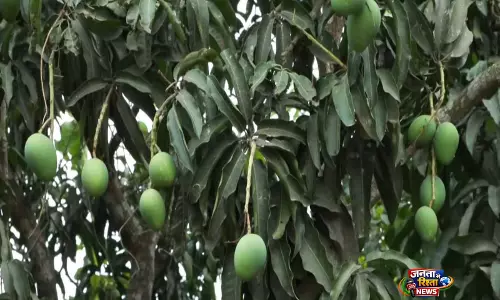 Malda में एयरपोर्ट खोलने की मांग तेज Malda में एयरपोर्ट खोलने की मांग तेज