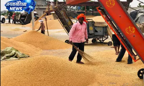 Jalandhar: आवक में स्थिरता से किसानों में संतोष और आर्थिक सुरक्षा Jalandhar: आवक में स्थिरता से किसानों में संतोष और आर्थिक सुरक्षा