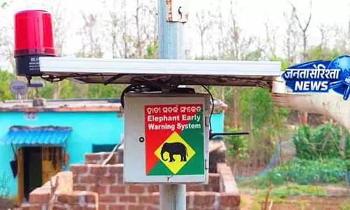 हाथियों के कारण Dhenkanal में सुरक्षा बढ़ाने के लिए टेक्नोलॉजी अपनाई गई हाथियों के कारण Dhenkanal में सुरक्षा बढ़ाने के लिए टेक्नोलॉजी अपनाई गई