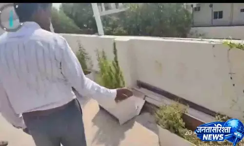 पूर्वी Gandhinagar से 10 किलो गांजा, 17 पौधे बरामद पूर्वी Gandhinagar से 10 किलो गांजा, 17 पौधे बरामद