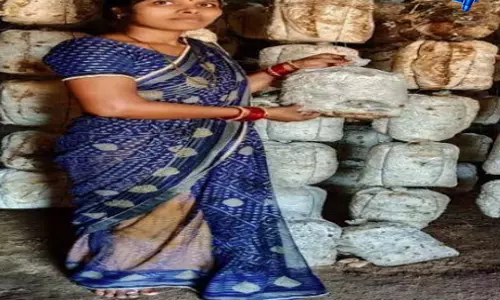 गृहिणी से लखपति दीदी बनीं तुलेश्वरी, मशरूम उत्पादन से बदली जिंदगी गृहिणी से लखपति दीदी बनीं तुलेश्वरी, मशरूम उत्पादन से बदली जिंदगी