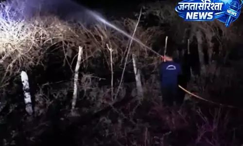 तुमडीबोड में 100 एकड़ फार्म में भीषण आग, 20 एकड़ क्षेत्र जलकर खाक तुमडीबोड में 100 एकड़ फार्म में भीषण आग, 20 एकड़ क्षेत्र जलकर खाक