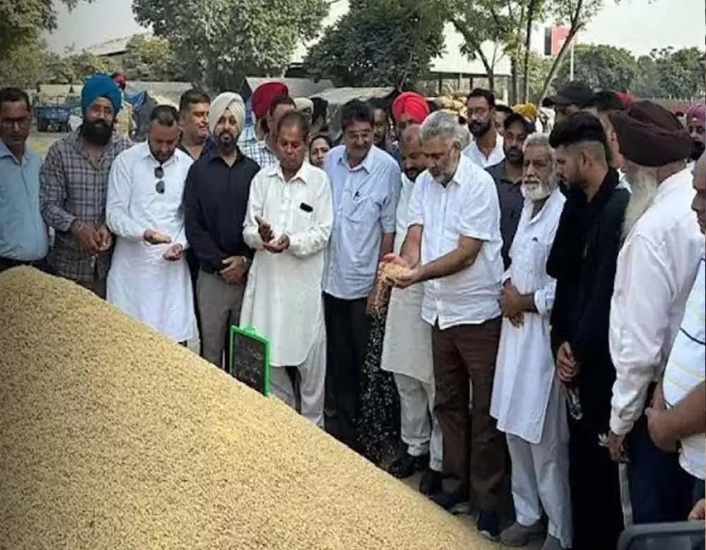 Punjab: मंत्री कटारूचक ने मंडी में गेहूं खरीदी का लिया जायजा Punjab: मंत्री कटारूचक ने मंडी में गेहूं खरीदी का लिया जायजा
