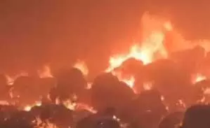 राइस मिल में बड़ी घटना, आगजनी से बारदाना और धान जलकर खाक राइस मिल में बड़ी घटना, आगजनी से बारदाना और धान जलकर खाक